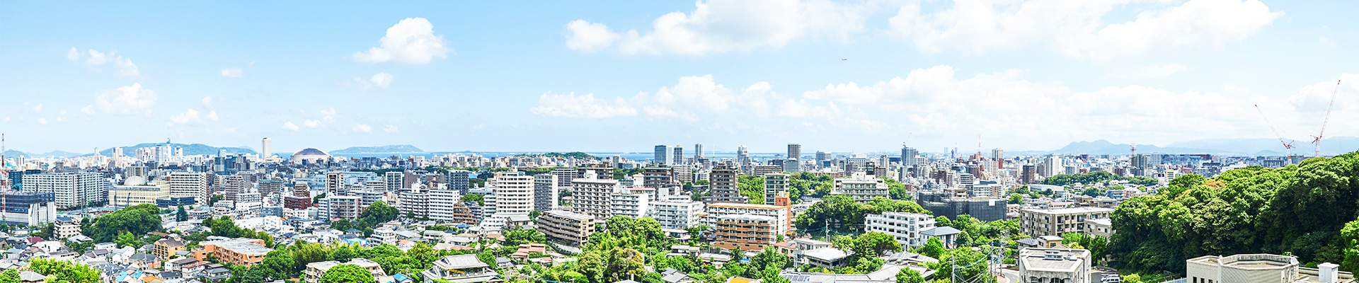 アクセス・事務所情報